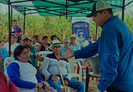 Día de Campo en Mocache: ADVANTA 9789 demuestra su potencial en condiciones reales