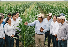 Día de campo Farmagro: más de 1.200 productores conocieron los híbridos ADVANTA en Pedro Carbo