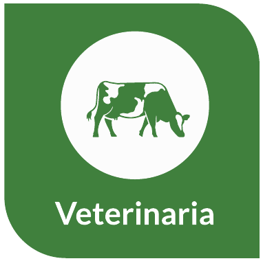 Veterinaria