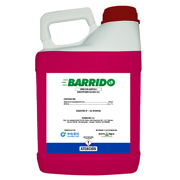 BARRIDO - 3.8L
