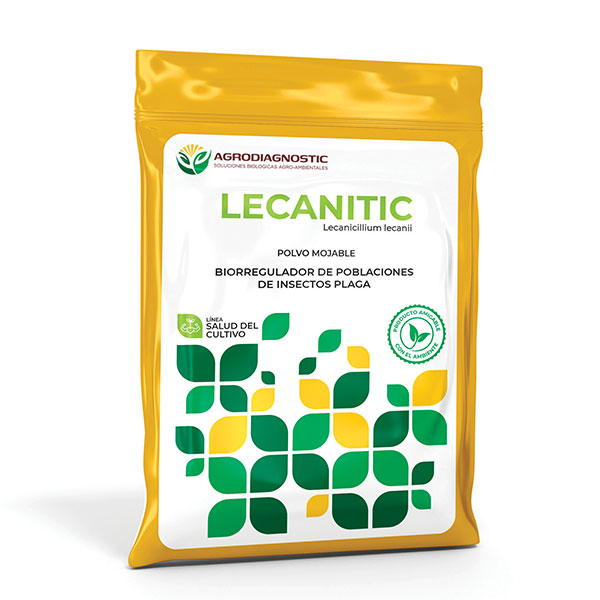 LECANITIC - 100GR