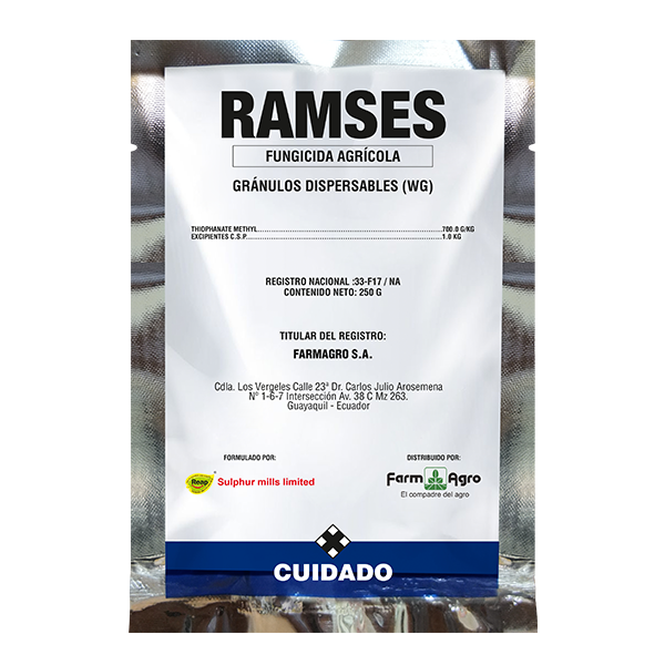 RAMSES - 500 G