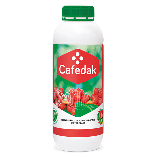 CAFEDAK - 1L